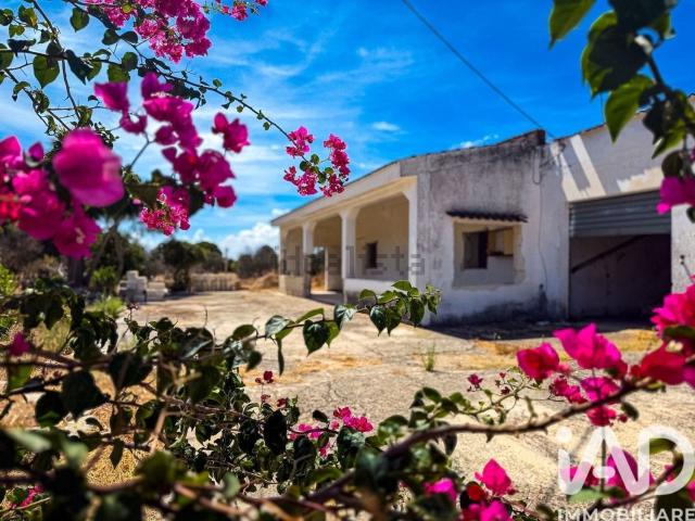 Casa in vendita a Pizzofalcone, Puglia