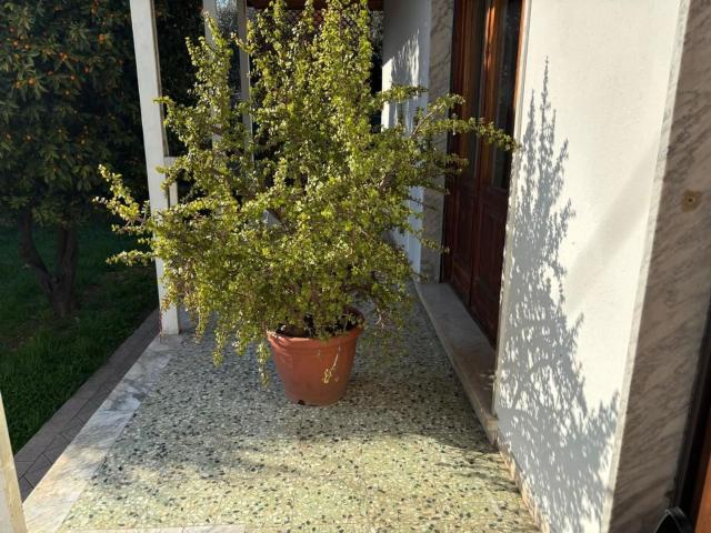 Casa in vendita a Marina di Massa, Marina Di Massa