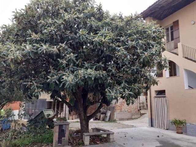 Casa in vendita a Piemonte, Asti