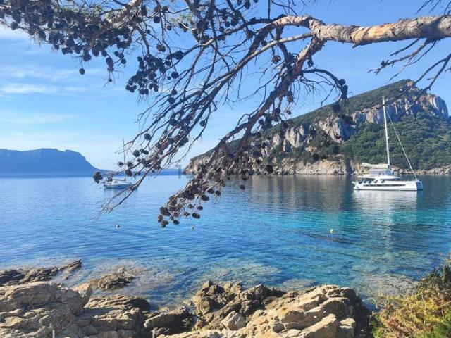 Casa in vendita a Sottomonte, Golfo Aranci