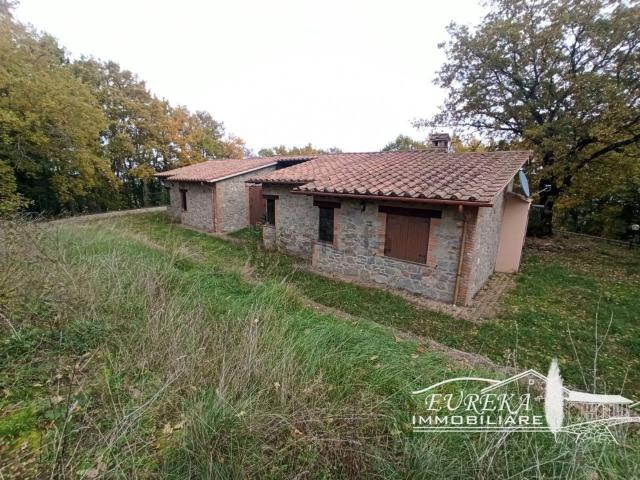 Casa in vendita a San Venanzo, Umbria