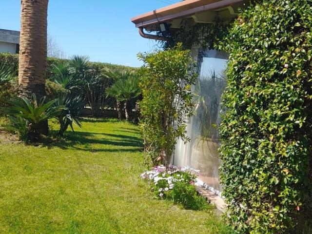 Casa in vendita a Ippocampo, Puglia