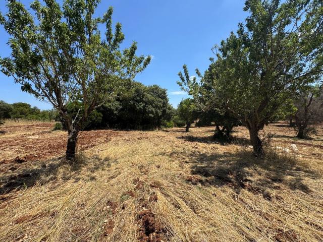 Casa in vendita a Puglia, Brindisi