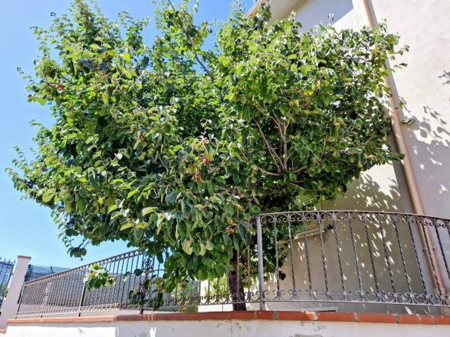 Casa in vendita a Marrubiu, Sardigna/Sardegna