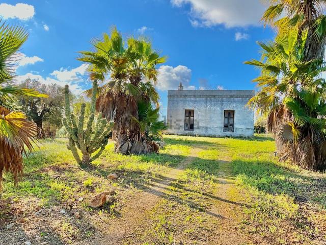 Casa in vendita a Puglia, Brindisi