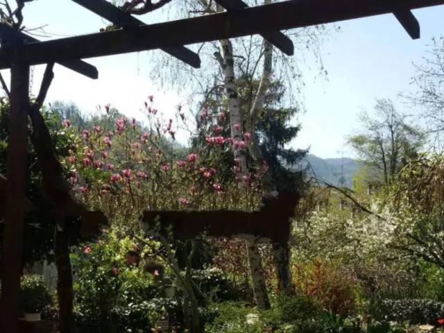 Casa in vendita a Unione dei comuni Valli del Reno, Lavino e Samoggia, Monte San Pietro