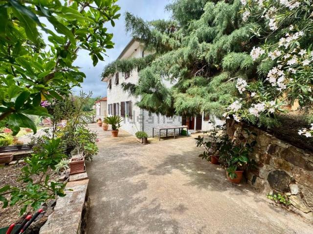 Casa in vendita a Rio, Toscana