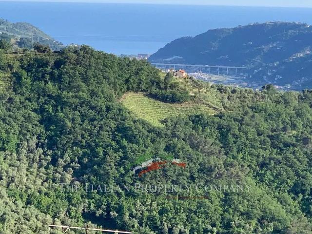 Casa in vendita a Dolceacqua, Liguria
