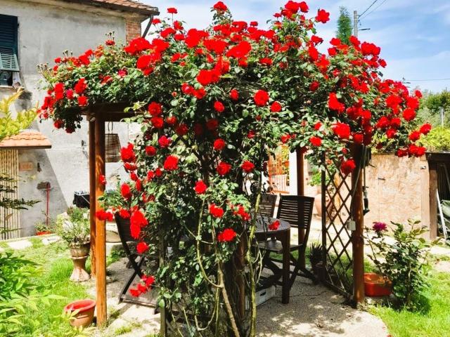 Casa in vendita a Cerreta, Castelnuovo Magra