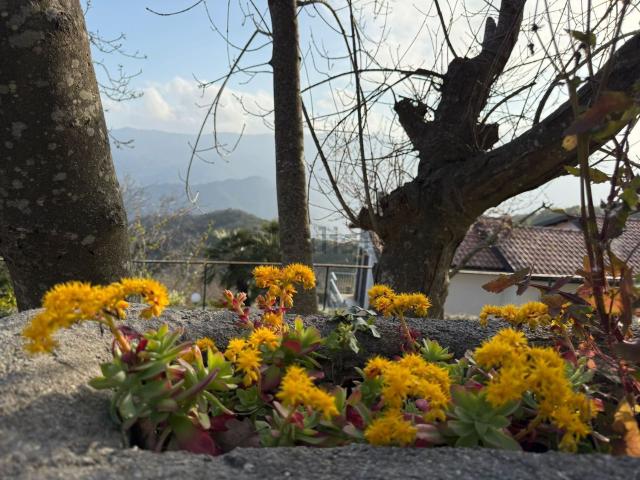 Casa in vendita a Alassio, Liguria