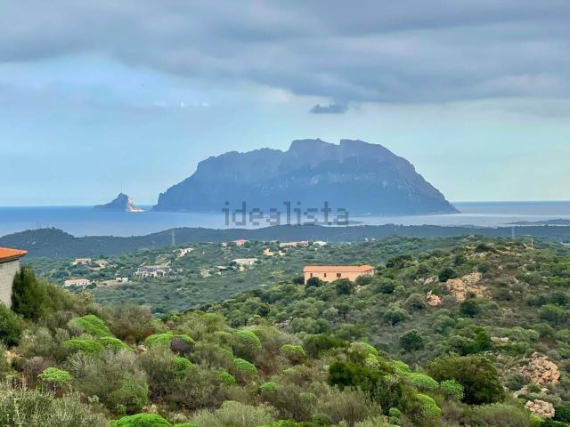 Casa in vendita a San Pantaleo