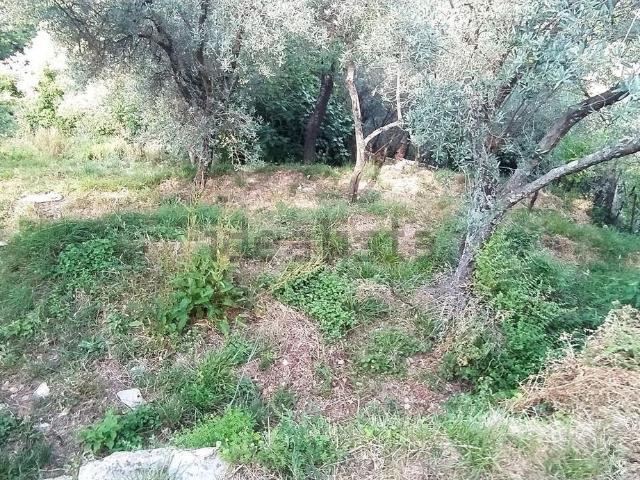 Casa in vendita a Avegno, Testana