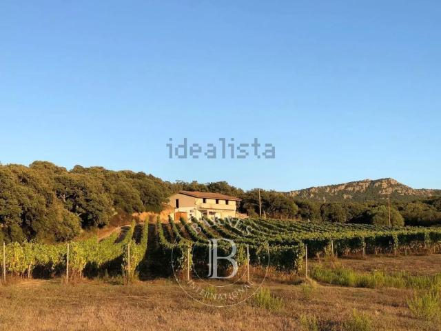 Casa in vendita a Monte, Sardigna/Sardegna