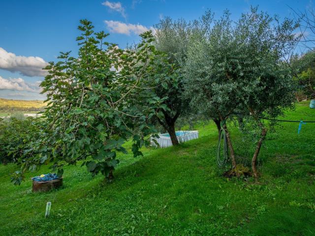 Casa in vendita a Collesalvetti, Toscana