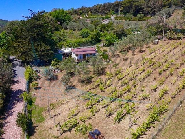 Casa in vendita a Cafaggio, Rosignano Marittimo