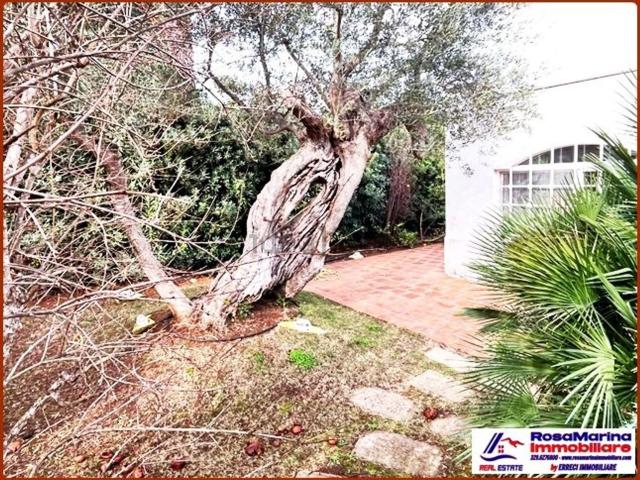 Casa in vendita a Rosa Marina di Ostuni, Puglia