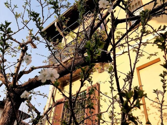 Casa in vendita a Bande Nere, Milano