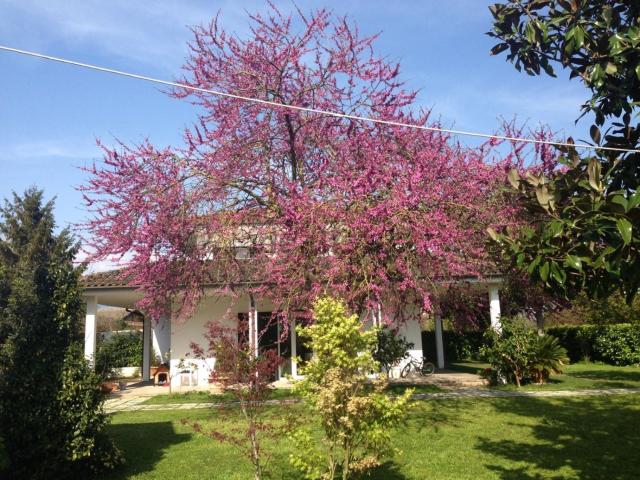 Casa in vendita a Latina, Lazio