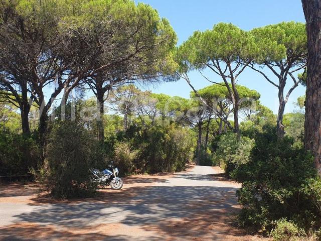 Casa in vendita a Castiglione Della Pescaia
