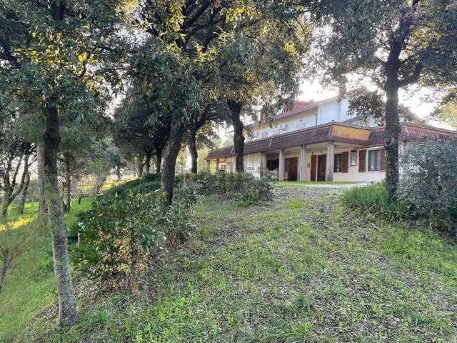 Casa in vendita a Marche, Pesaro E Urbino