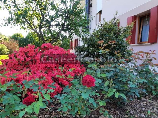Casa in vendita a Piombino Dese, Veneto