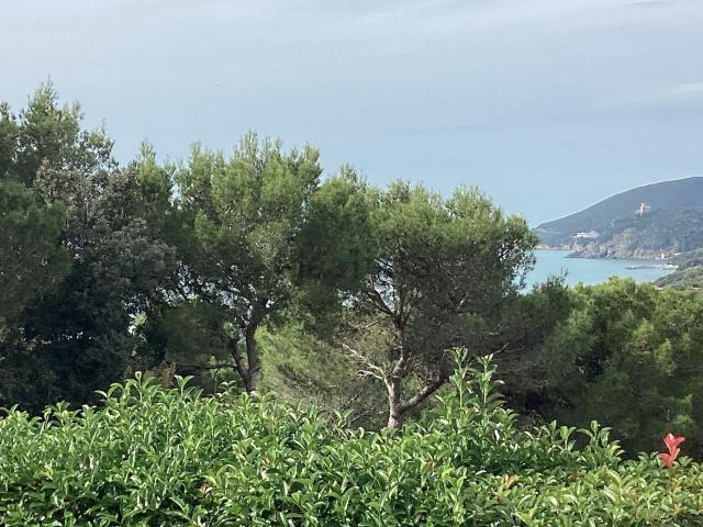 Casa in vendita a Rosignano Marittimo, Toscana