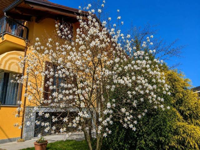 Casa in vendita a Piemonte, Cuneo