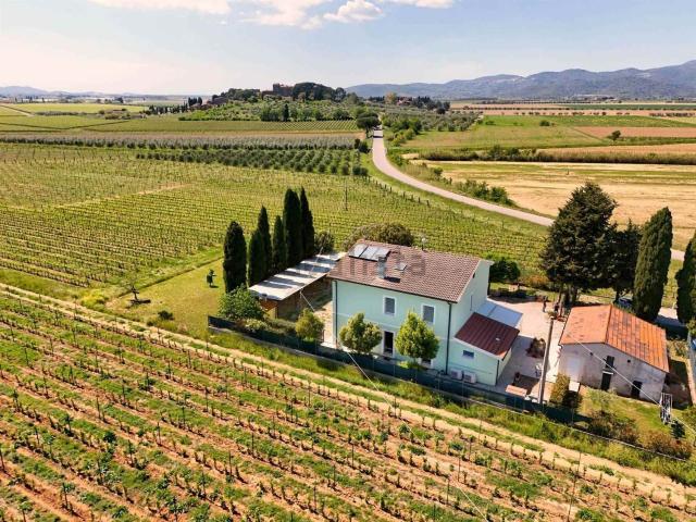 Casa in vendita a Campiglia Marittima, Toscana
