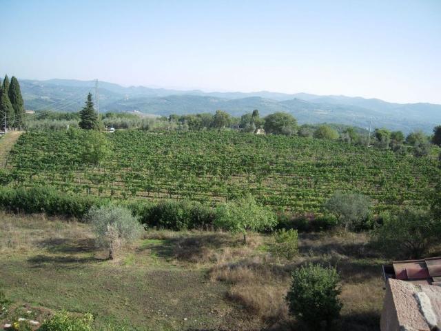 Casa in vendita a Castelnuovo Berardenga, Toscana