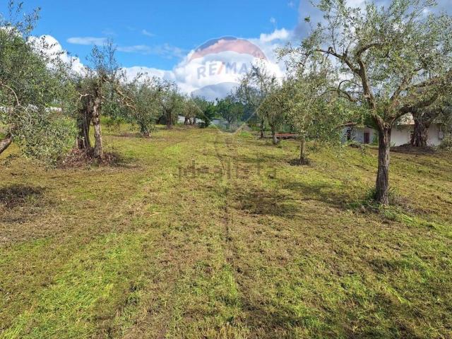 Casa in vendita a Castel Campagnano, Campania