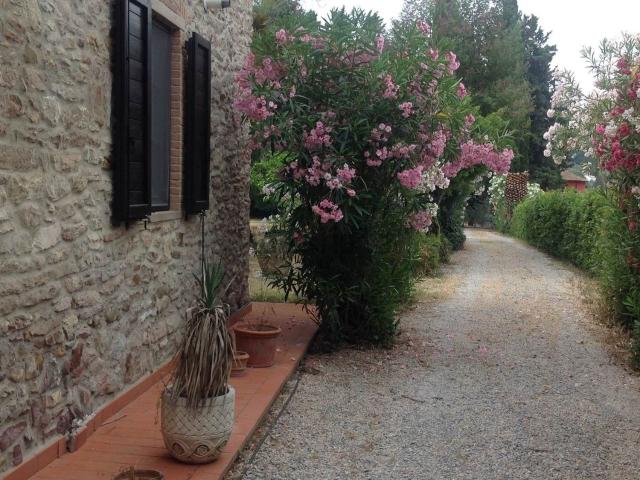 Casa in vendita a Campiglia Marittima, Toscana