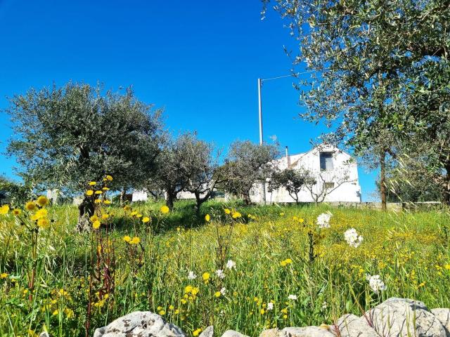 Casa in vendita a Puglia, Bari