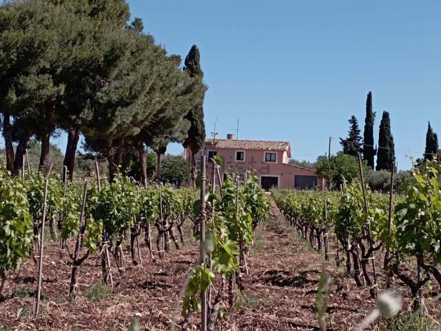 Casa in vendita a Sperlinga, Chiaramonte Gulfi