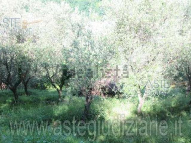 Casa in vendita a Uzzano E Castello, Pistoia