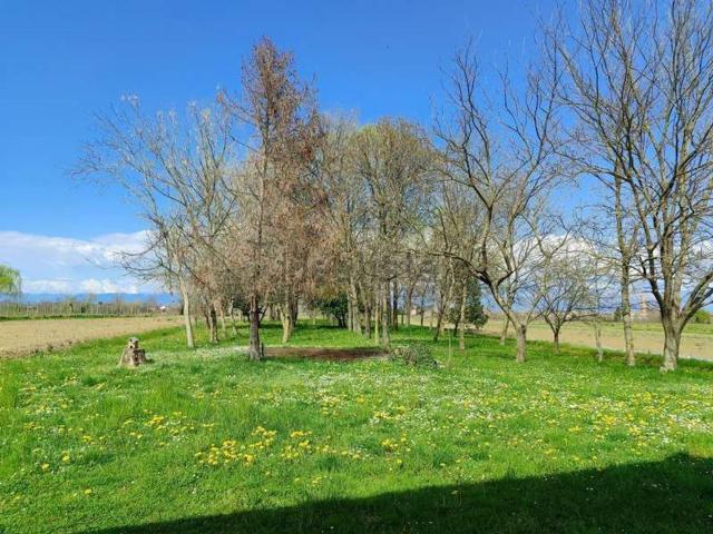 Casa in vendita a Azzano Decimo, Friuli-Venezia Giulia