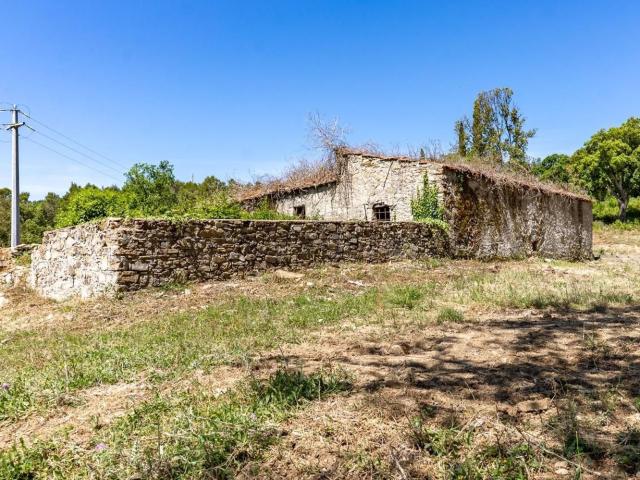 Casa in vendita a Monteverdi Marittimo, Toscana