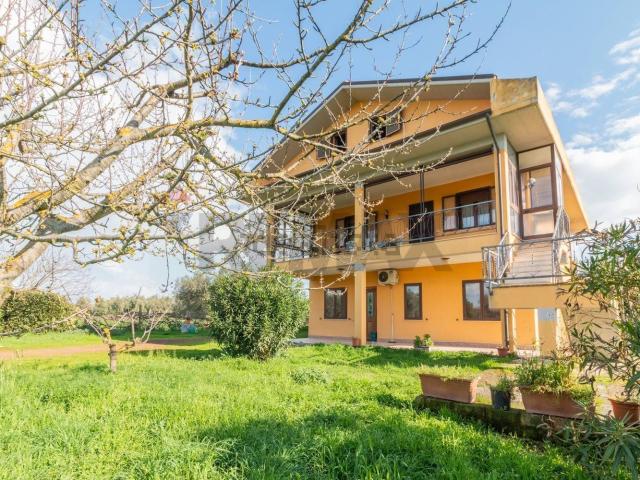 Casa in vendita a Canino, Lazio