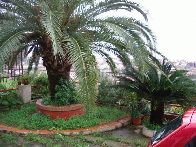 Casa in vendita a Vibo Marina, Calabria
