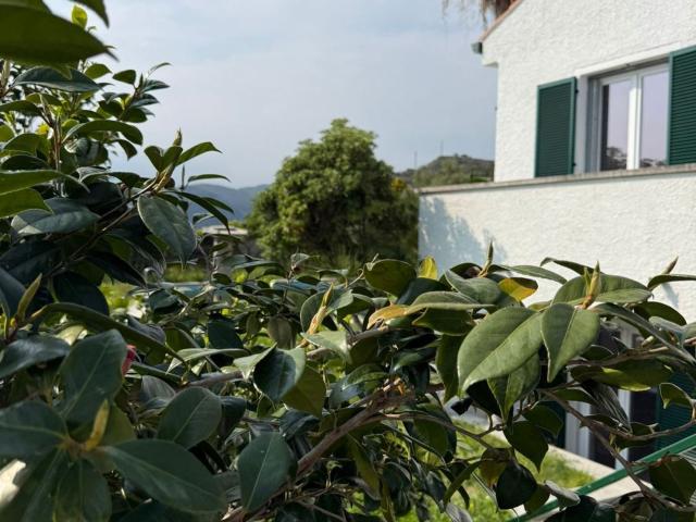 Casa in vendita a Calvisio, Finale Ligure