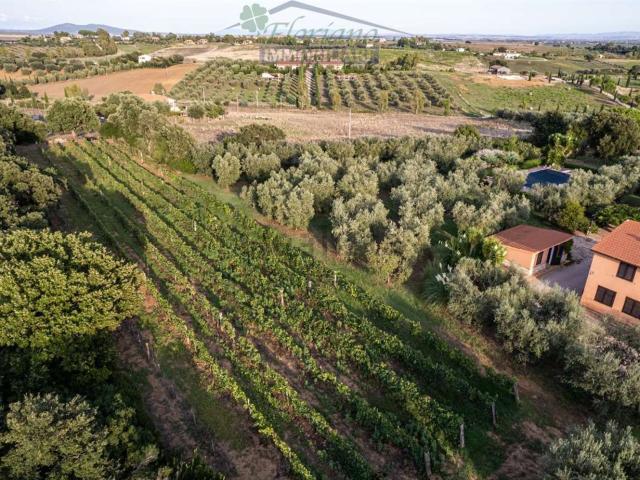 Casa in vendita a Unione di Comuni Montani Colline del Fiora, Montalto Di Castro