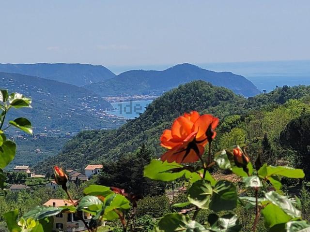 Casa in vendita a San Colombano Certenoli, Leivi