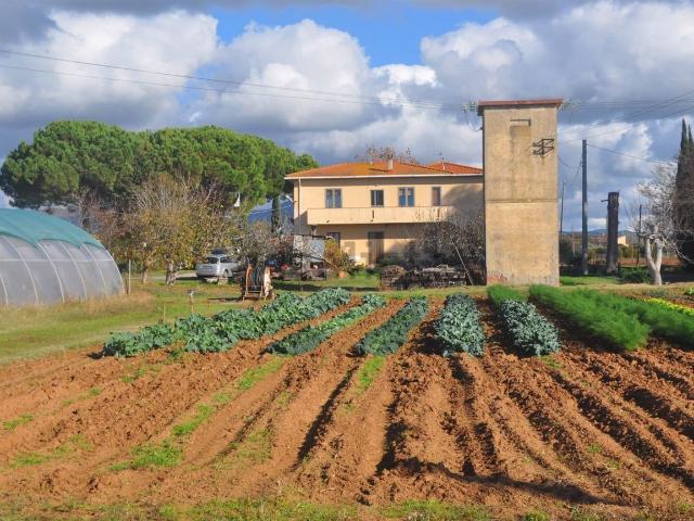 Casa in vendita a Rosignano Marittimo, Toscana