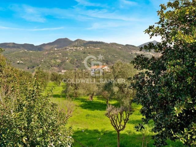 Casa in vendita a Tonfano, Toscana