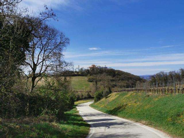 Casa in vendita a Lonigo, Vicenza