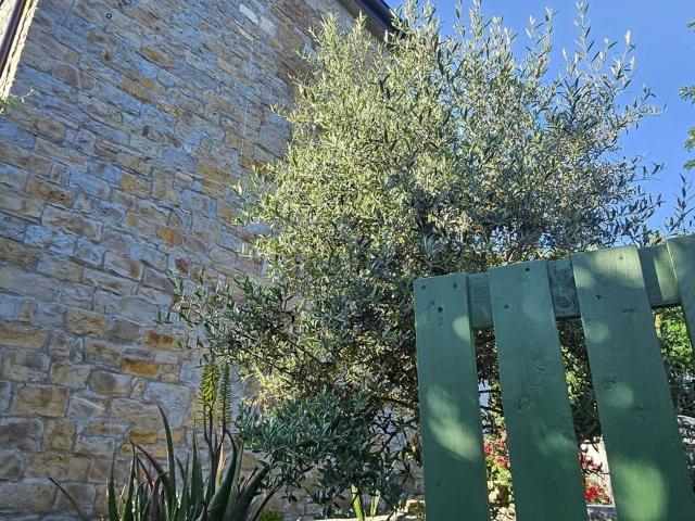 Casa in vendita a Lazzaretto / Lazaret, Muggiò