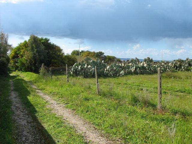 Casa in vendita a Calasetta, Sardigna/Sardegna
