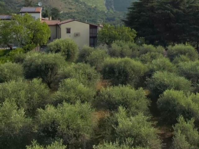 Casa in vendita a Montericco, Negrar