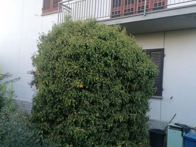 Casa in vendita a Arena Metato, San Giuliano Terme