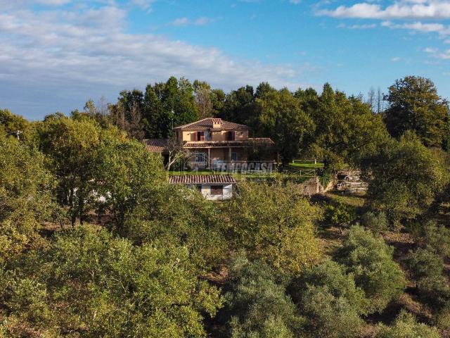 Casa in vendita a Roma Capitale, Lazio
