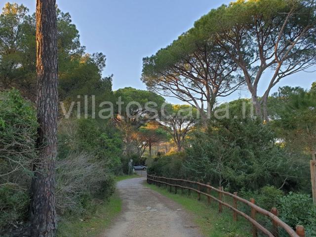 Casa in vendita a Castiglione Della Pescaia